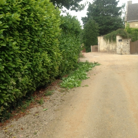 Large hedgecutting