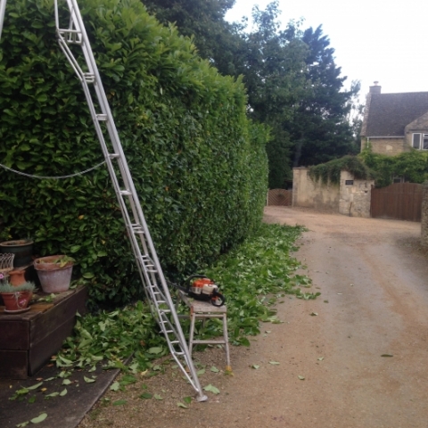 Large hedgecutting