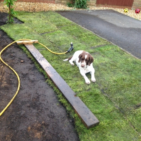 Turfing