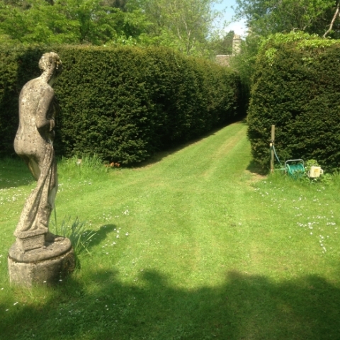 Garden lawns and hedging