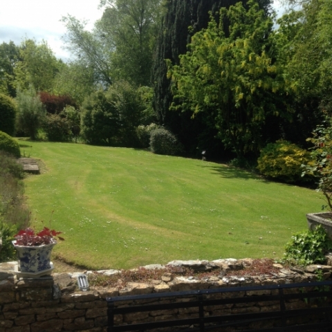 Garden lawns and hedging